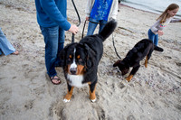 KF_201024_037